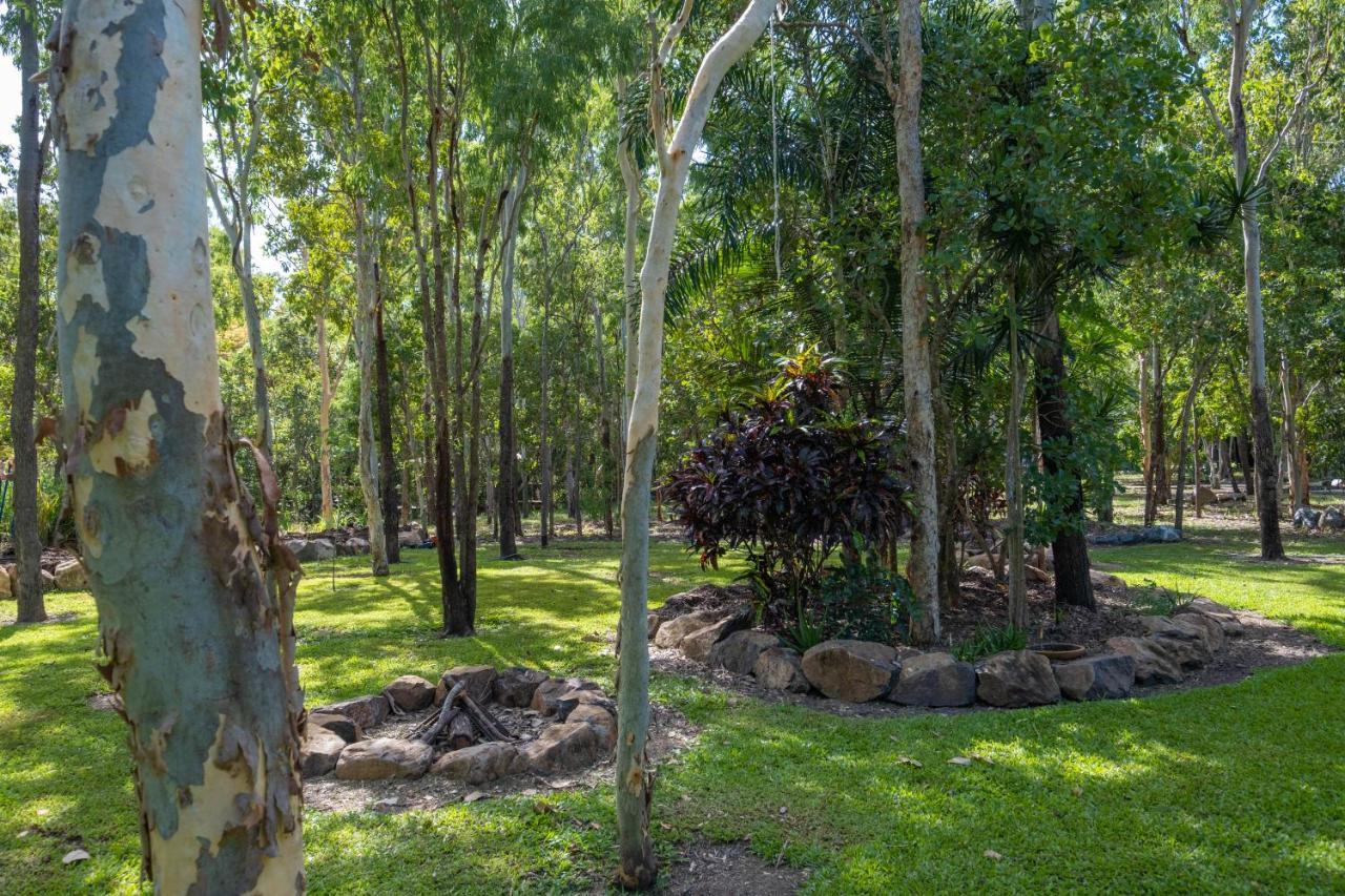 Airlie Beach Eco Cabins - Adults Only Kültér fotó