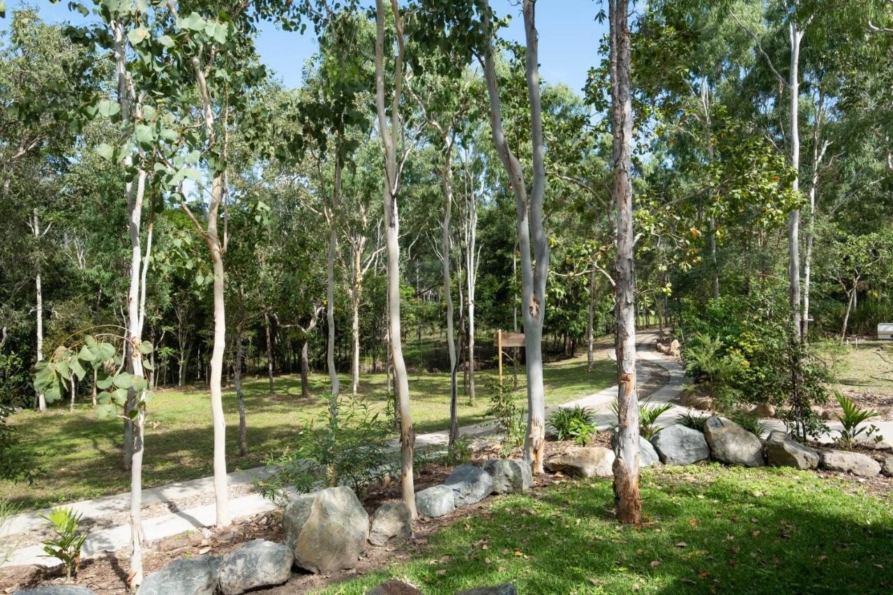 Airlie Beach Eco Cabins - Adults Only Kültér fotó